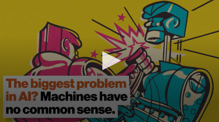 Why machines have no common sense